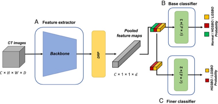 Dual-branch CT classifier architecture