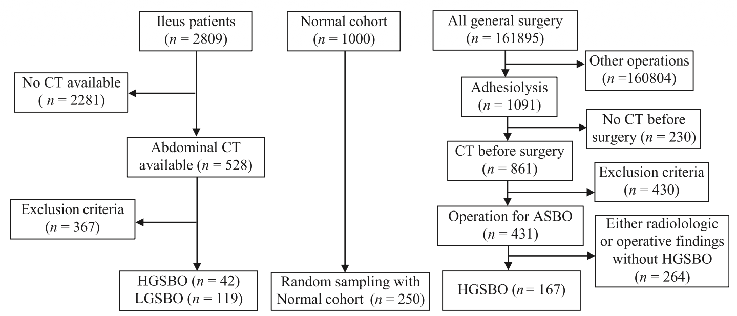 Patient cohort selection flow