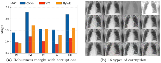 CNN and ViT robustness comparison